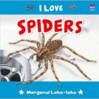 I Love Spiders : Mengenal Laba-Laba