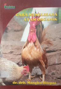 Cara Memelihara Ayam Organik